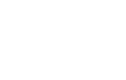 Rug Cleaning Houston logo